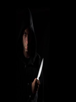 cover image of Veiled Shadows